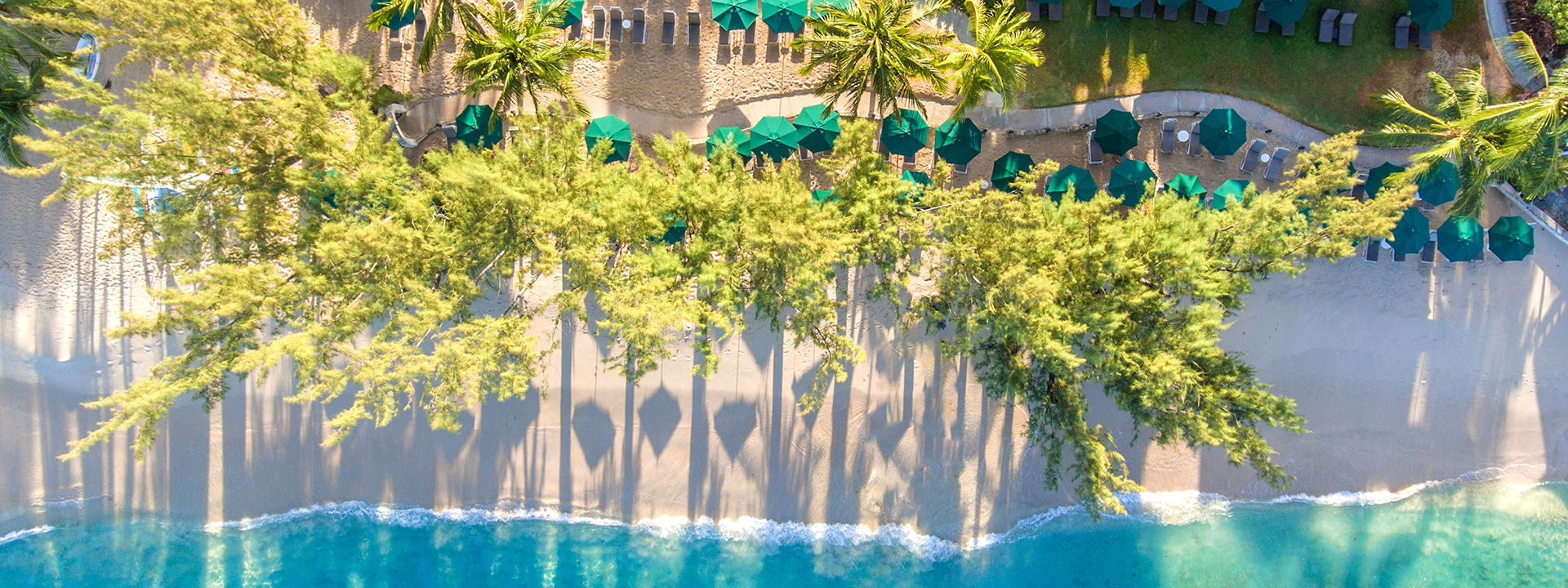 Coral Reef Club - Activities